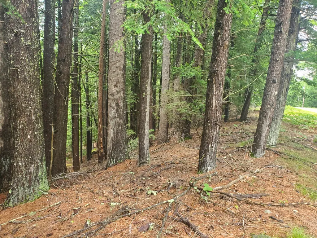 Lot #36 Beaver Brook Road Limerick ME 04048