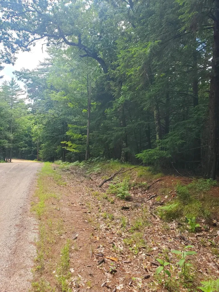 Lot #36 Beaver Brook Road Limerick ME 04048