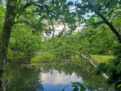 Lot #36 Beaver Brook Road Limerick ME 04048