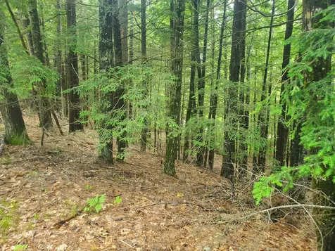 Lot #36 Beaver Brook Road Limerick ME 04048