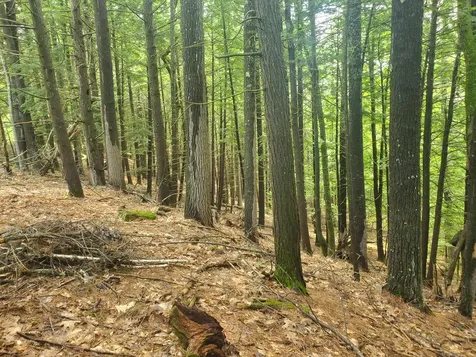 Lot #36 Beaver Brook Road Limerick ME 04048