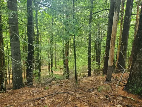 Lot #36 Beaver Brook Road Limerick ME 04048