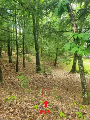 Lot #36 Beaver Brook Road Limerick ME 04048