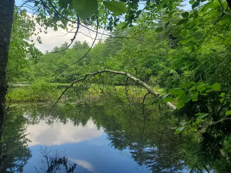Lot #36 Beaver Brook Road Limerick ME 04048