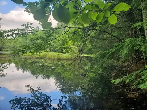 Lot #36 Beaver Brook Road Limerick ME 04048