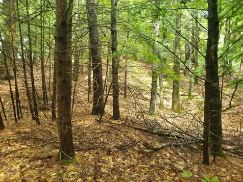 Lot #36 Beaver Brook Road Limerick ME 04048