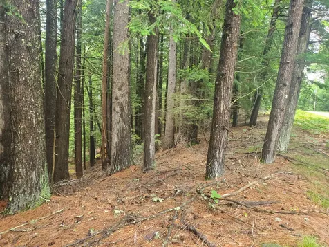 Lot #36 Beaver Brook Road Limerick ME 04048