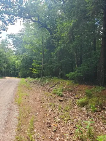 Lot #36 Beaver Brook Road Limerick ME 04048