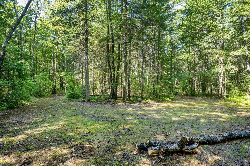 129 Hobbs Swamp Road Parsonsfield ME 04047