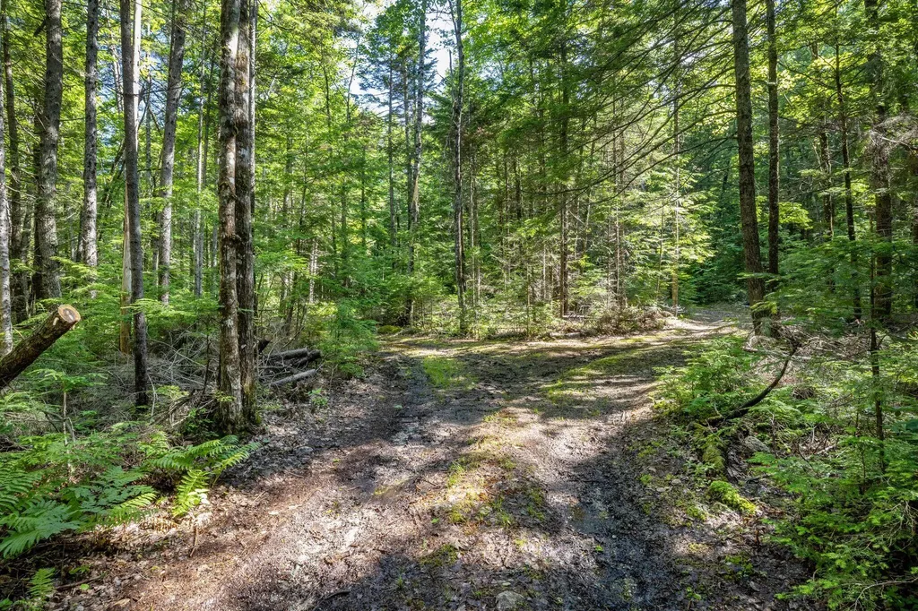 129 Hobbs Swamp Road Parsonsfield ME 04047