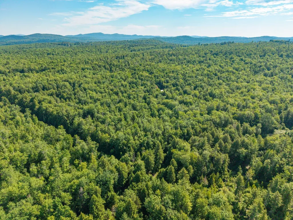 129 Hobbs Swamp Road Parsonsfield ME 04047