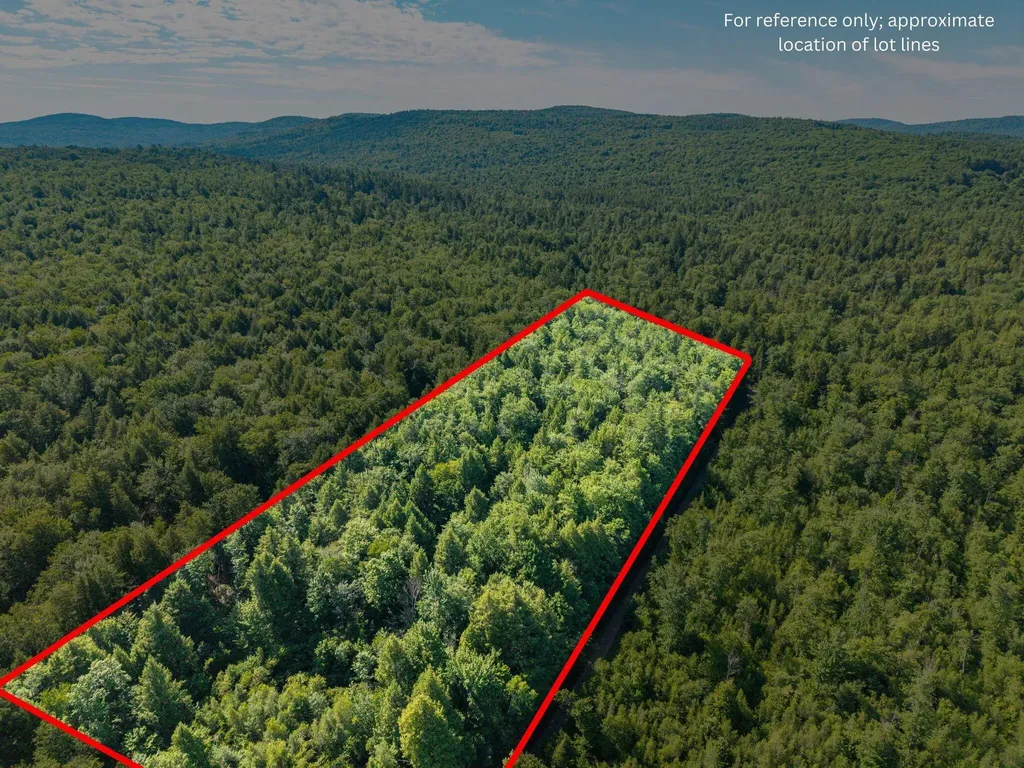 129 Hobbs Swamp Road Parsonsfield ME 04047