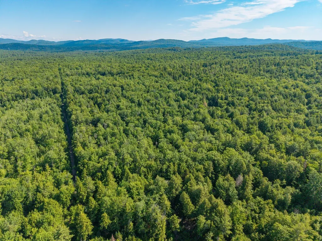 129 Hobbs Swamp Road Parsonsfield ME 04047