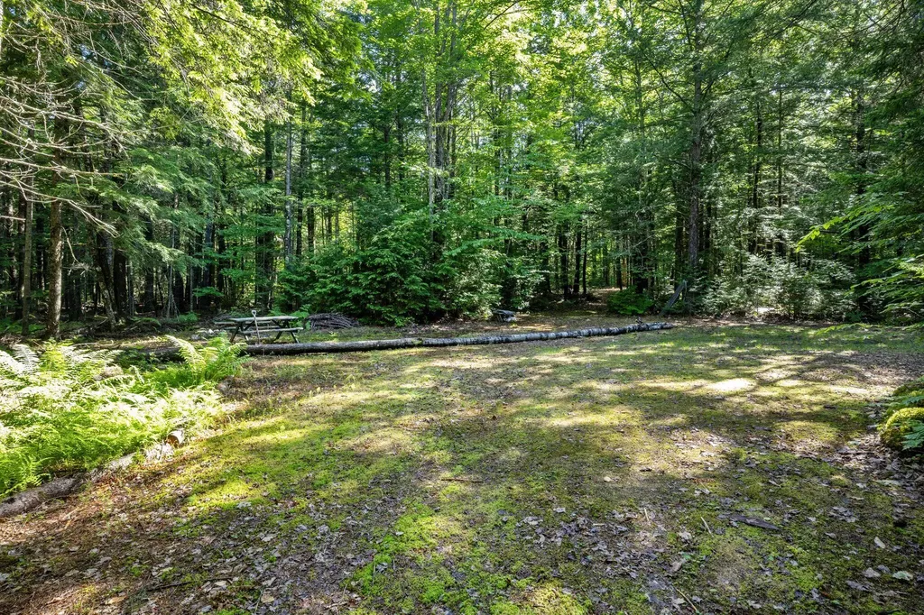 129 Hobbs Swamp Road Parsonsfield ME 04047