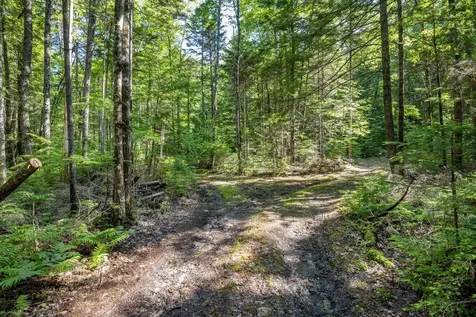 129 Hobbs Swamp Road Parsonsfield ME 04047