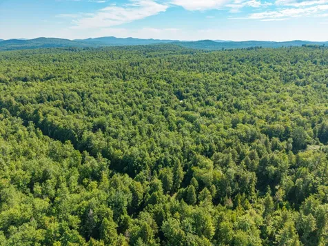 129 Hobbs Swamp Road Parsonsfield ME 04047