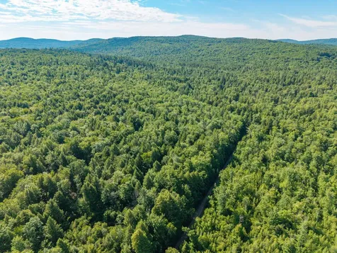 129 Hobbs Swamp Road Parsonsfield ME 04047