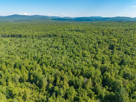 129 Hobbs Swamp Road Parsonsfield ME 04047