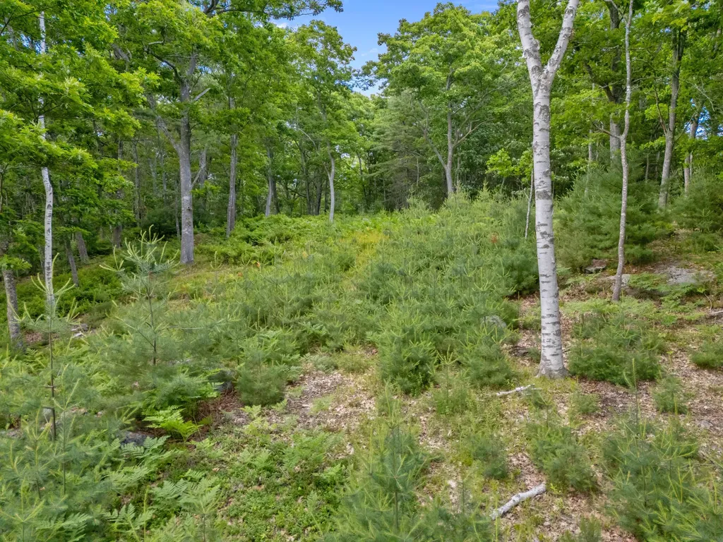 Lot 16 Captain John Parker Road Phippsburg ME 04562