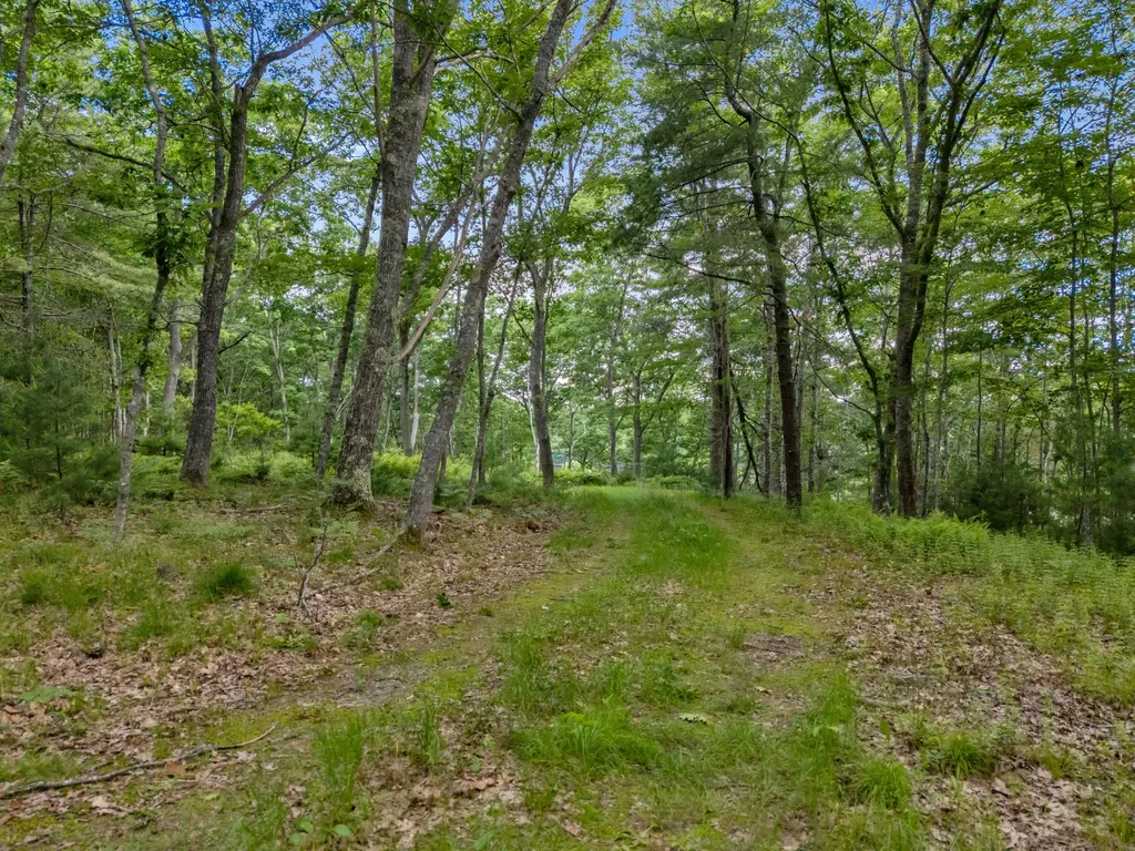 Lot 16 Captain John Parker Road Phippsburg ME 04562