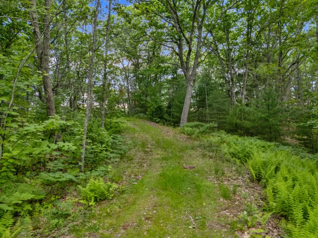 Lot 16 Captain John Parker Road Phippsburg ME 04562