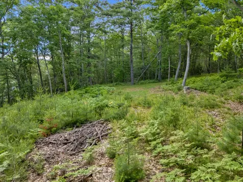 Lot 16 Captain John Parker Road Phippsburg ME 04562