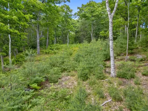 Lot 16 Captain John Parker Road Phippsburg ME 04562