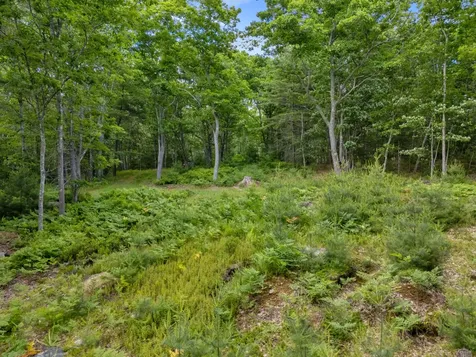 Lot 16 Captain John Parker Road Phippsburg ME 04562