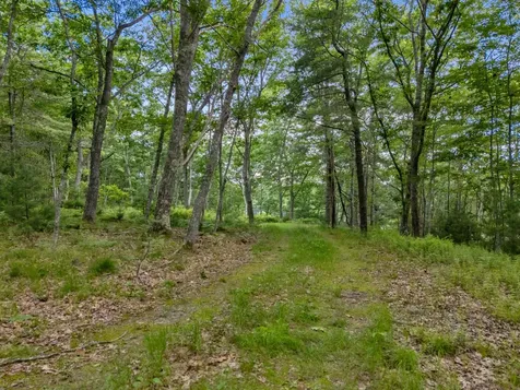 Lot 16 Captain John Parker Road Phippsburg ME 04562