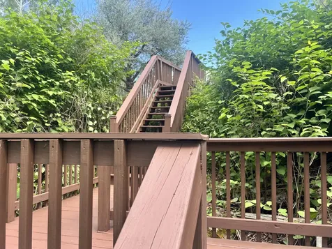 17 Goodwin Road Carthage ME 04224