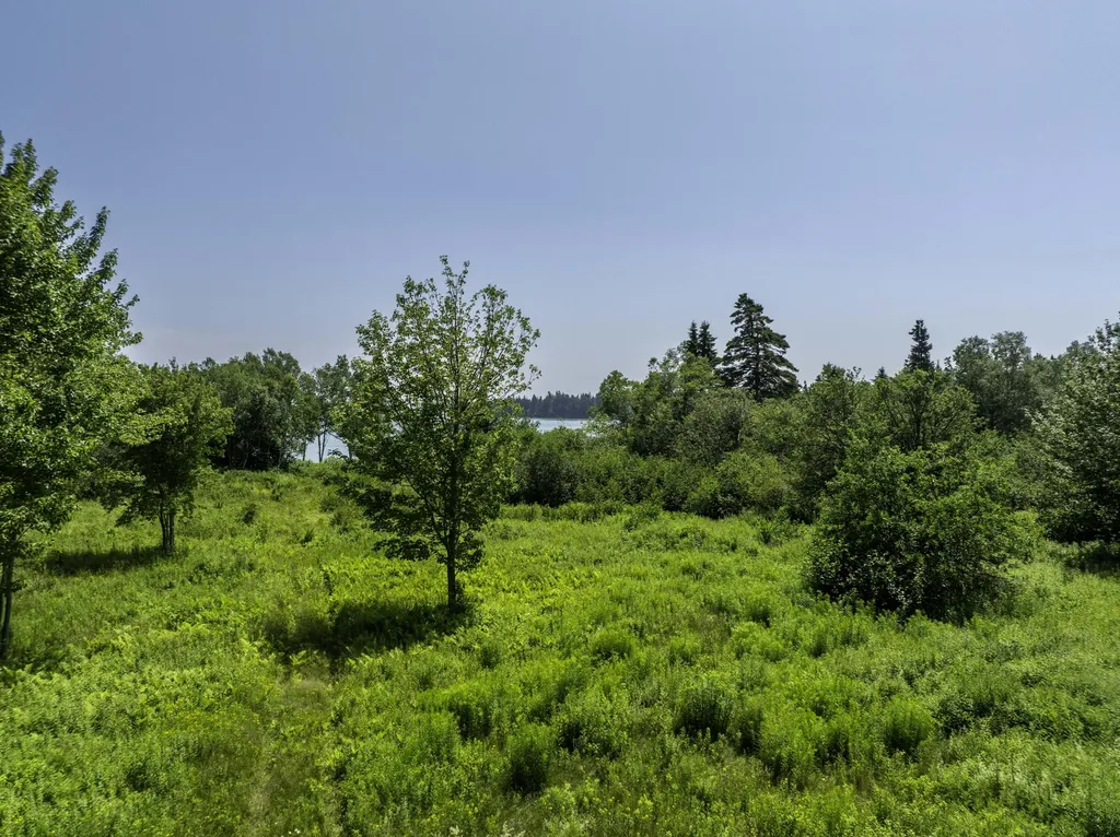 45 Reynolds Lane Addison ME 04606