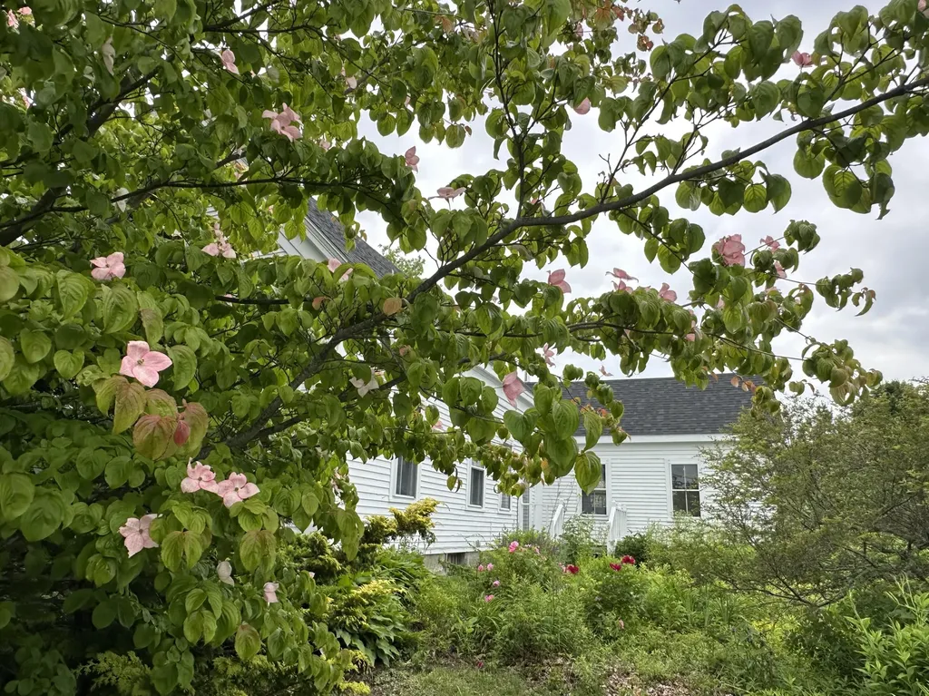 441 Main Street Thomaston ME 04861