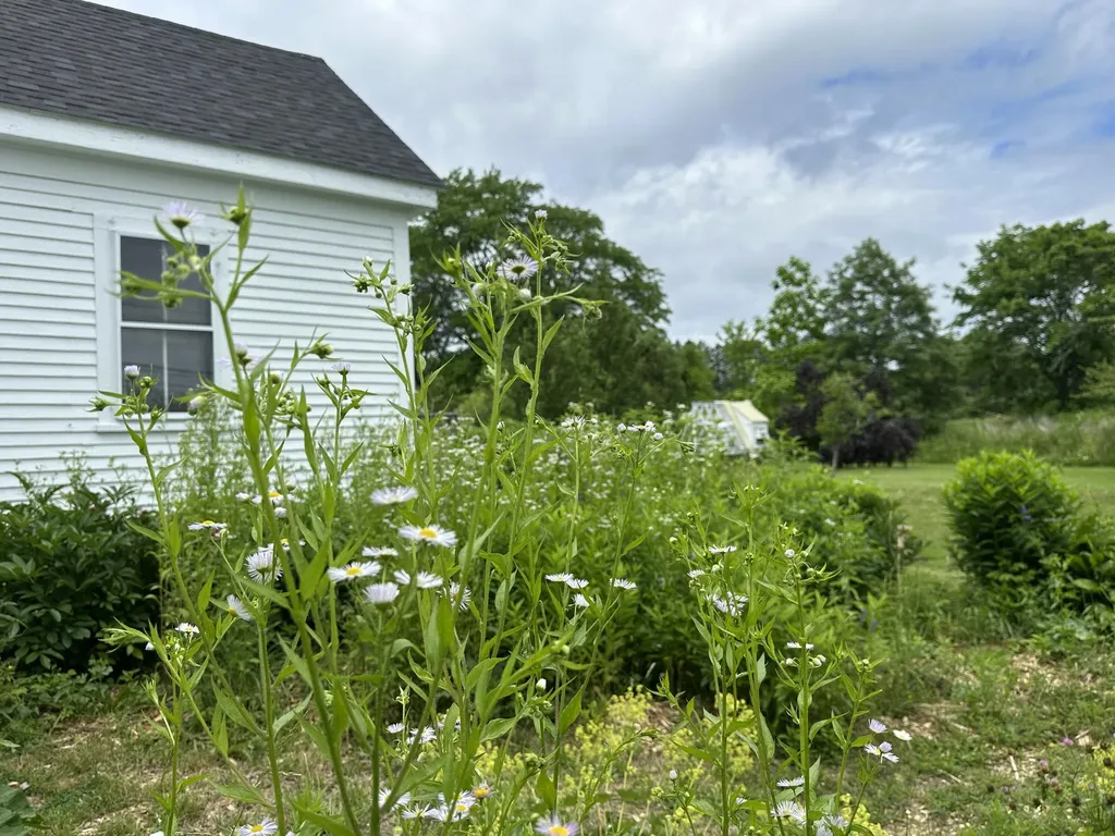 441 Main Street Thomaston ME 04861