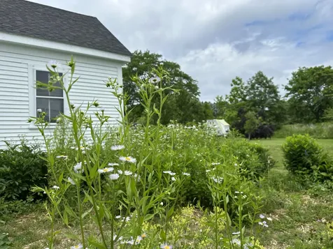 441 Main Street Thomaston ME 04861