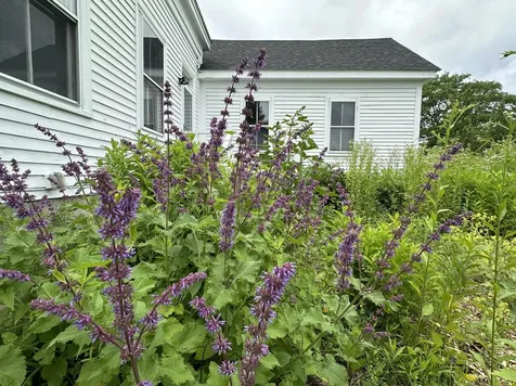 441 Main Street Thomaston ME 04861
