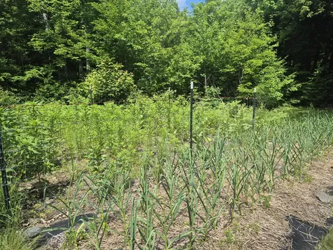 192 Dutch Gap Road Chesterville ME 04938