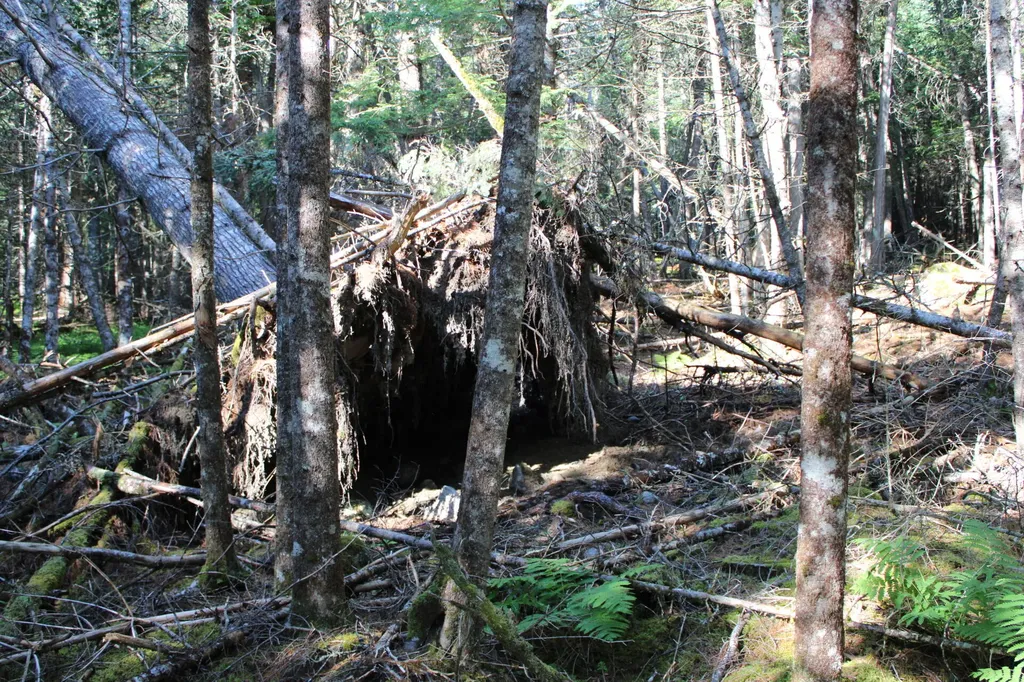 0 Mariaville Road Mariaville ME 04605