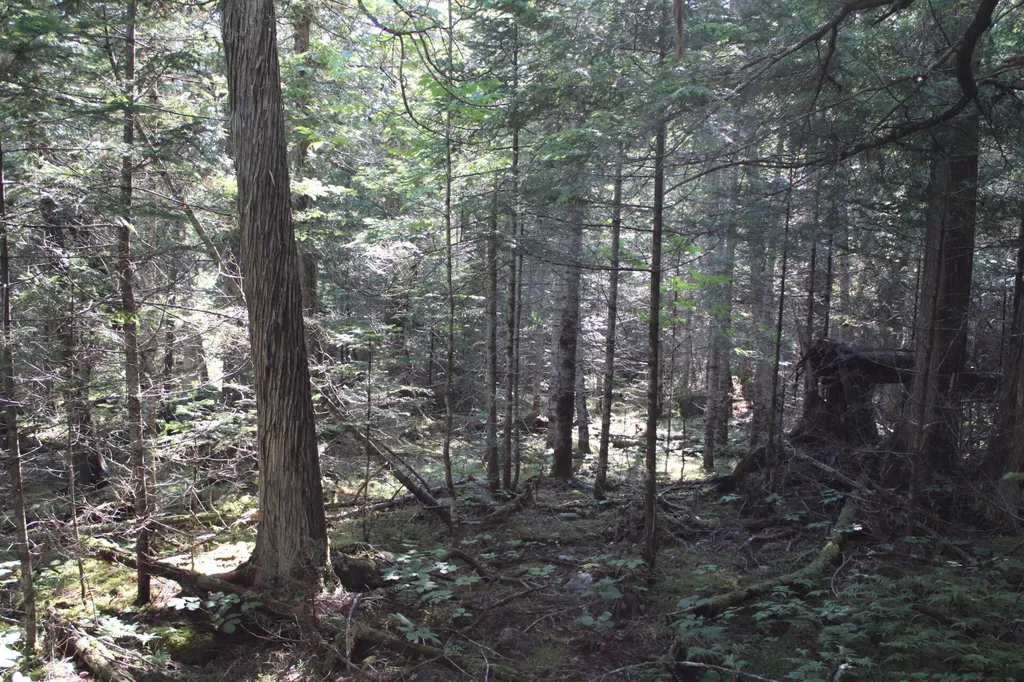 0 Mariaville Road Mariaville ME 04605