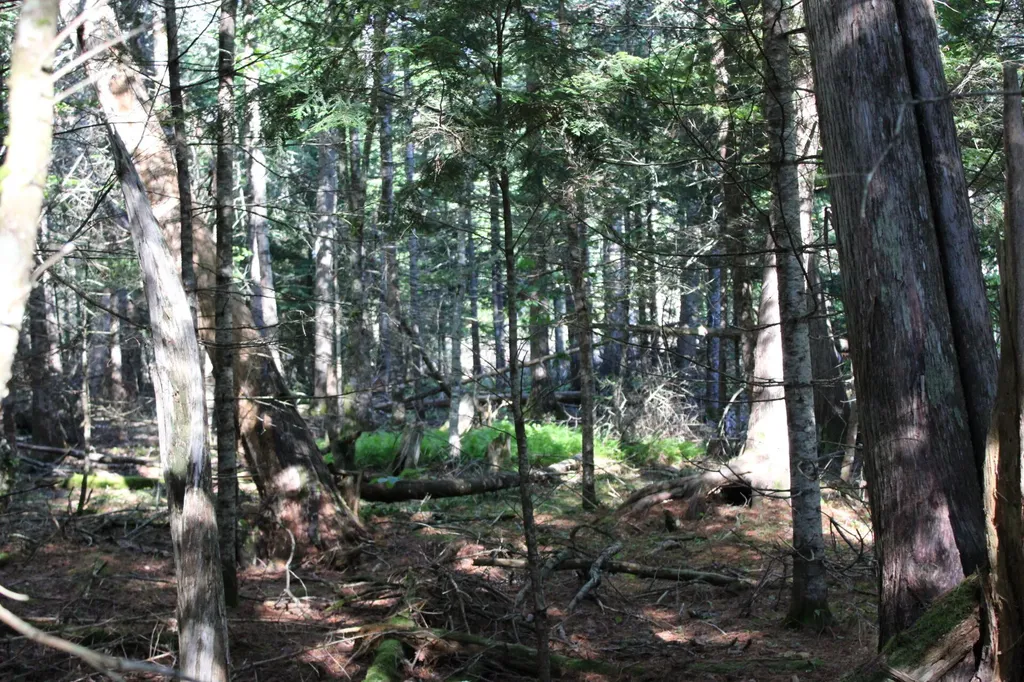0 Mariaville Road Mariaville ME 04605