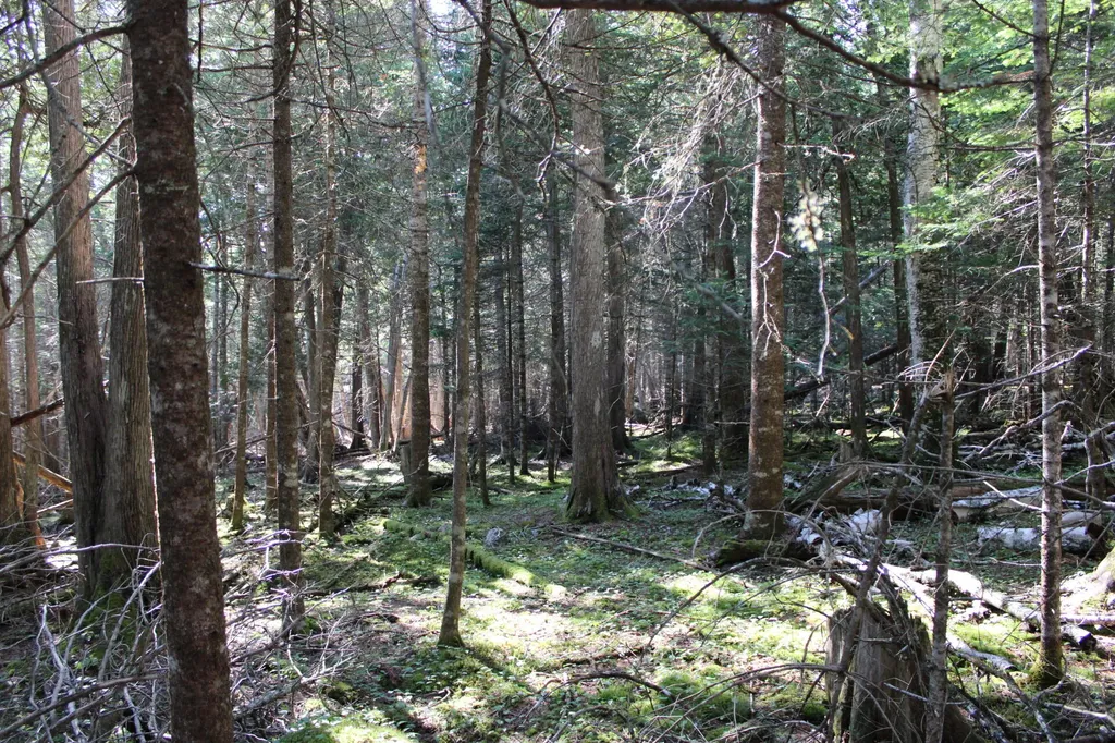 0 Mariaville Road Mariaville ME 04605
