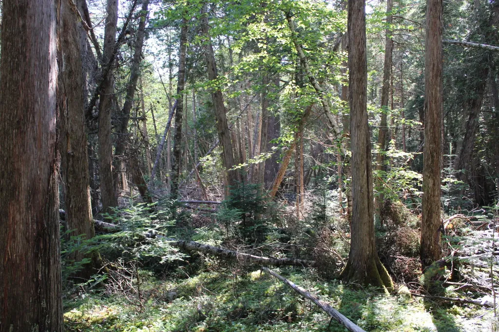 0 Mariaville Road Mariaville ME 04605