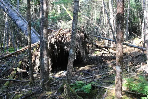0 Mariaville Road Mariaville ME 04605