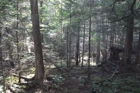 0 Mariaville Road Mariaville ME 04605