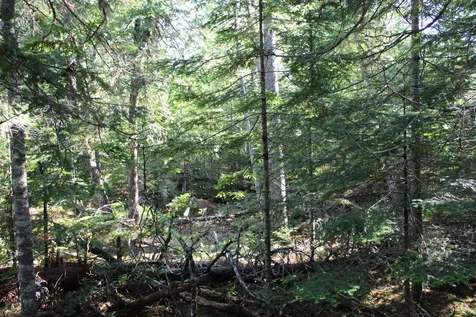 0 Mariaville Road Mariaville ME 04605