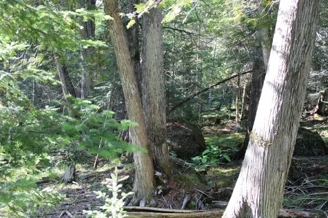 0 Mariaville Road Mariaville ME 04605