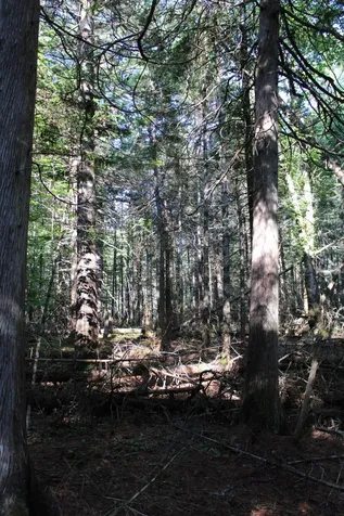 0 Mariaville Road Mariaville ME 04605