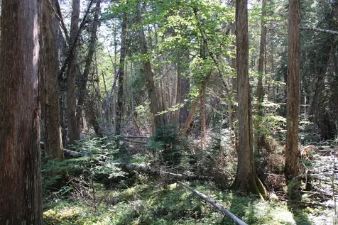 0 Mariaville Road Mariaville ME 04605