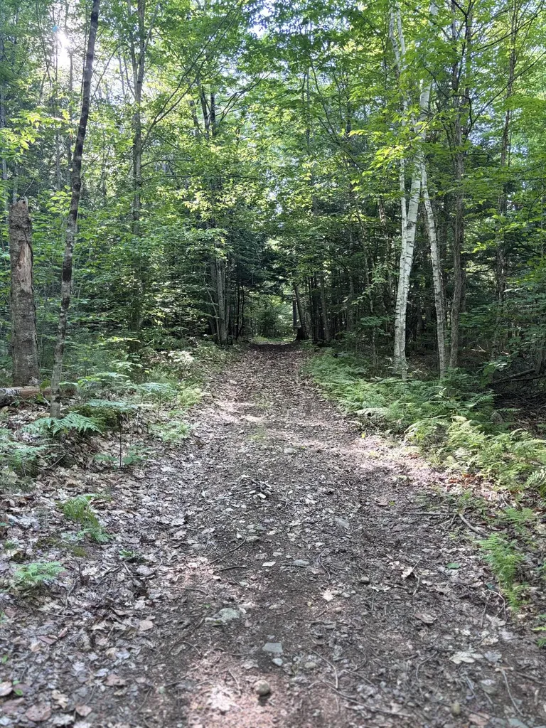 Lot #22 Streaked Mountain Road Buckfield ME 04220