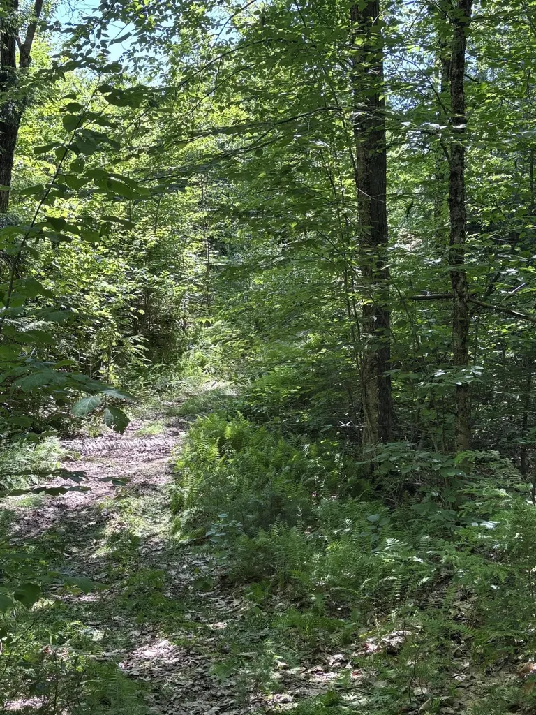 Lot #22 Streaked Mountain Road Buckfield ME 04220