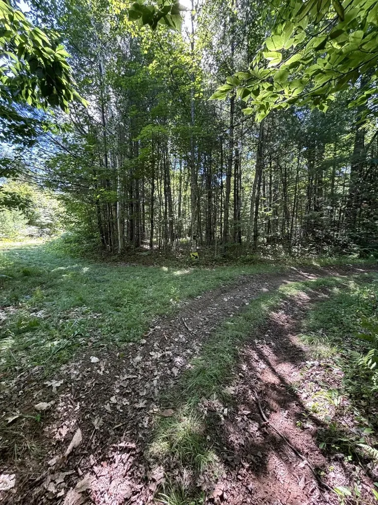 Lot #22 Streaked Mountain Road Buckfield ME 04220